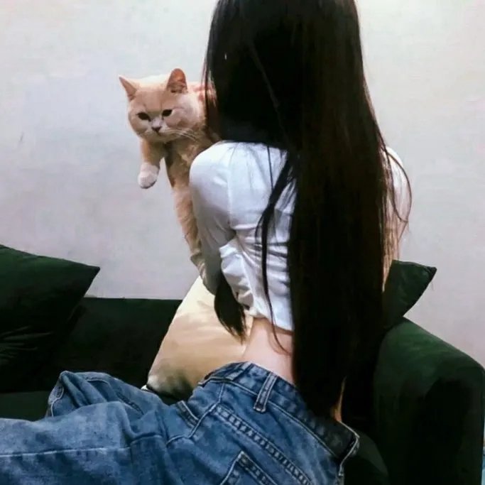 多情的野猫